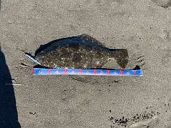 Caught fish